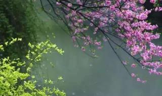 广场舞烟花三月下扬州 广场舞烟花三月下扬州